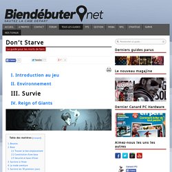 Le guide de Don't Starve