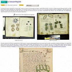 Le manuscrit Voynich