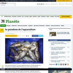 Le paradoxe de l'aquaculture