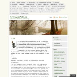 Naturando's Blog