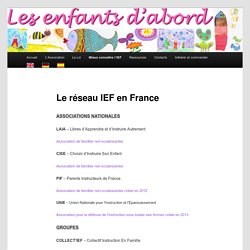 Le réseau IEF en France