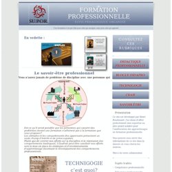 Le savoir-être professionnel