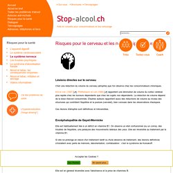 Le système nerveux - Stop-alcool.ch