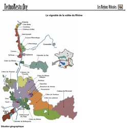 Le vignoble de la vallée du Rhône