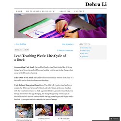 Lead Teaching Week: Life-Cycle of a Duck