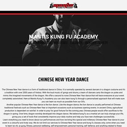 Professional Chinese New Year Dance