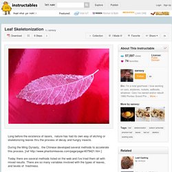 Leaf Skeletonization