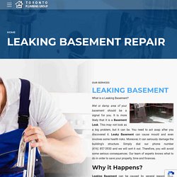 Leaking Basement Repair Toronto