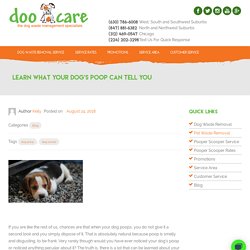 Learn What Your Dog's Poop Can Tell You