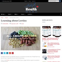 Learning about Lectins