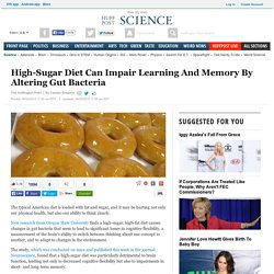 High-Sugar Diet Can Impair Learning And Memory By Altering Gut Bacteria