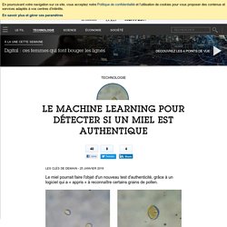 Le Machine Learning pour détecter si un miel est authentique