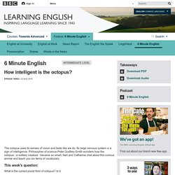 BBC Learning English - 6 Minute English / How intelligent is the octopus?