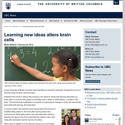 Learning new ideas alters brain cells