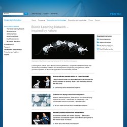 Festo Corporate - Bionic Learning Network