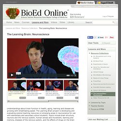 The Learning Brain: Neuroscience - BioEd Online