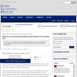 What are learning organizations?