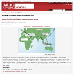 Figure 4 : Learning about human population history from ancient and modern genomes : Nature Reviews Genetics