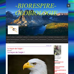 La leçon de l'aigle ! - Biorespire Géobiologie