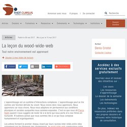 La leçon du wood-wide-web - Thot Cursus
