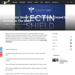 How Lectin Shield Solves Problems Caused By Lectins In The Body