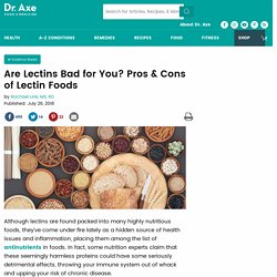 Are Lectins Bad for You? Pros & Cons of Lectin Foods