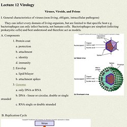 Lecture 12 Virology