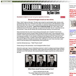 Left Brain : Right Brain