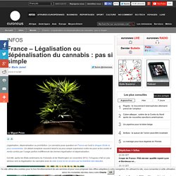 France – Légalisation ou dépénalisation du cannabis : pas si simple