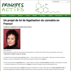 Un projet de loi de légalisation du cannabis en France!