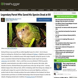 Legendary Parrot Who Saved His Species Dead at 80