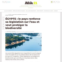 ÉGYPTE : le pays renforce sa législation sur l’eau et veut protéger la biodiversité