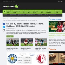 Soi kèo, dự đoán Leicester vs Slavia Praha, 3h00 ngày 26/2 Cúp C2 Châu Âu