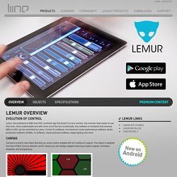 Lemur – Liine