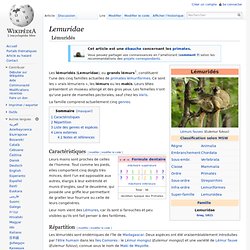 Lemuridae