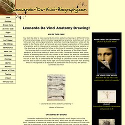 Leonardo Da Vinci anatomy drawing!