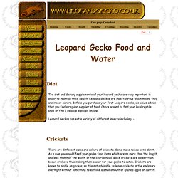 Leopard Geckos Food and Diet