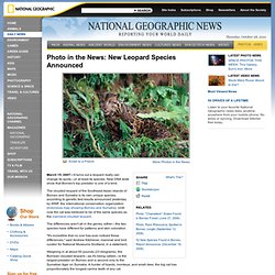 Photo in the News: New Leopard Species Announced