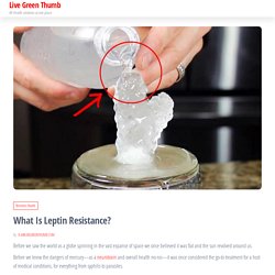 What Is Leptin Resistance? - Live Green Thumb