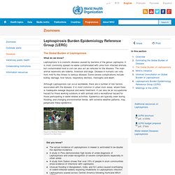 OMS - 2009 - The Global Burden of Leptospirosis