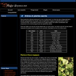 Les Arabes et les plantes sacrées
