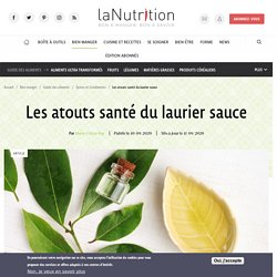 Les atouts santé du laurier sauce Par Marie-Céline Ray Publié le 10/09/2020 Mis à jour le 11/09/2020