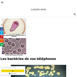 Les bactéries de vos téléphones