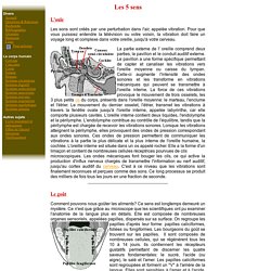 Les mystères du corps humain