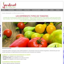 jardinot : Les différents types de tomates