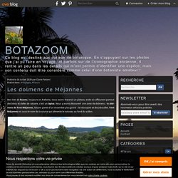 Les dolmens de Méjannes - Botazoom