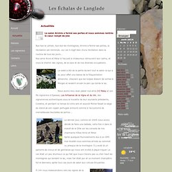 Les Échalas de Langlade - Association loi 1901 pour la promotion des vins de Langlade - 30980 LANGLADE - FRANCE
