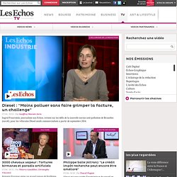Les Echos : vidéo "Parcours d'entrepreneur : Sylvain Casters (proprietes-privees.com)"
