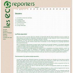 Les Eco-reporters