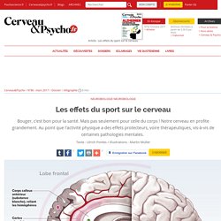 Les effets du sport sur le cerveau
